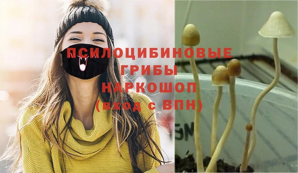 тгк Навашино