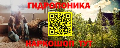 мяу мяу мука Малгобек